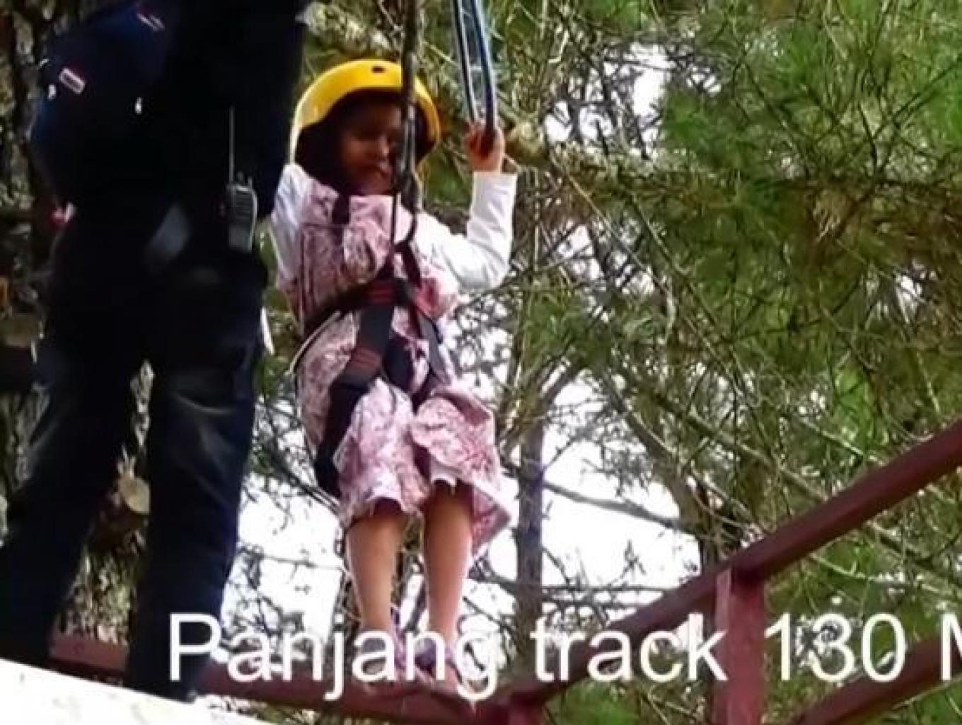 Flying Fox
