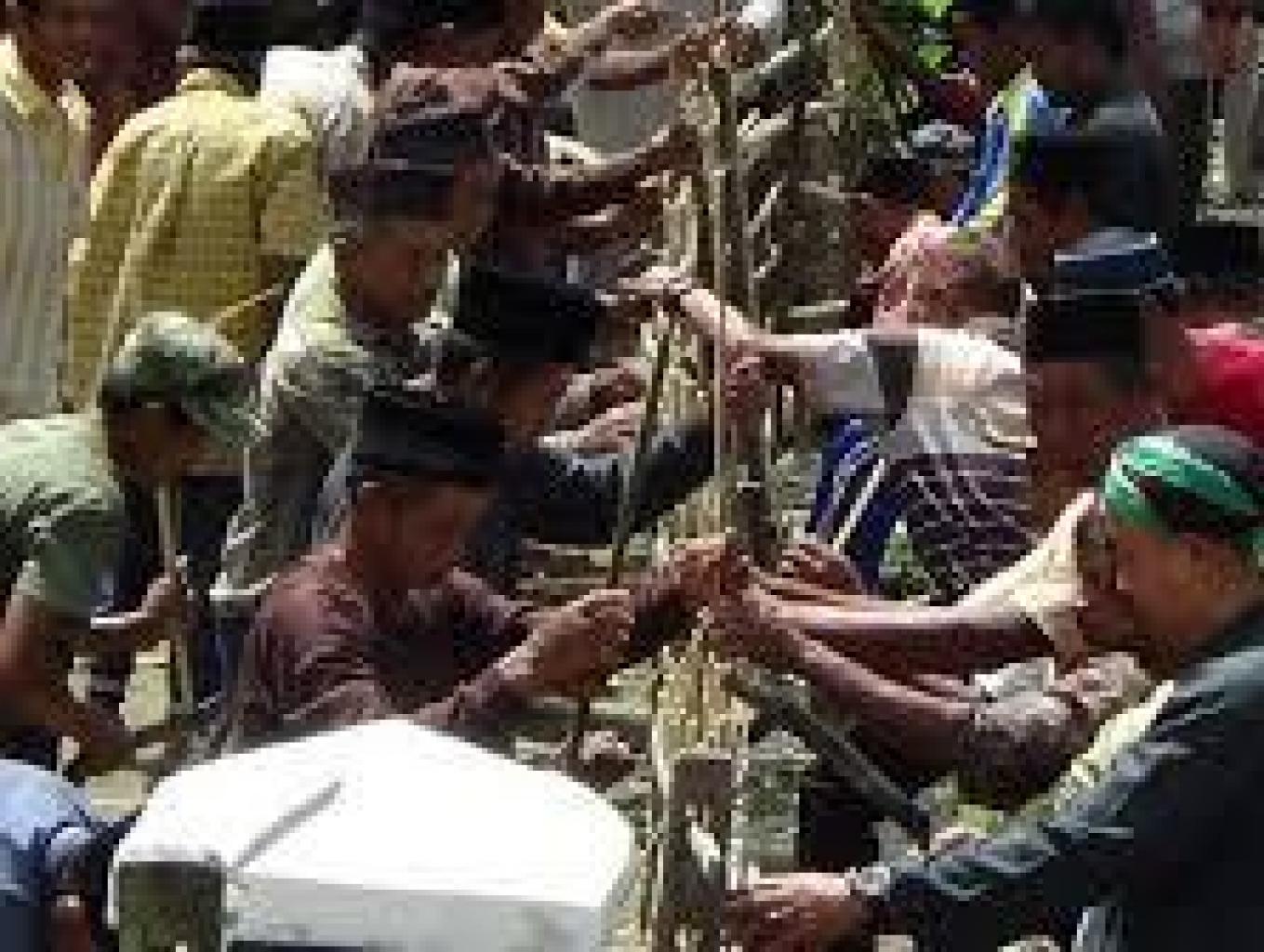 Tradisi Adat Jaro Rojab