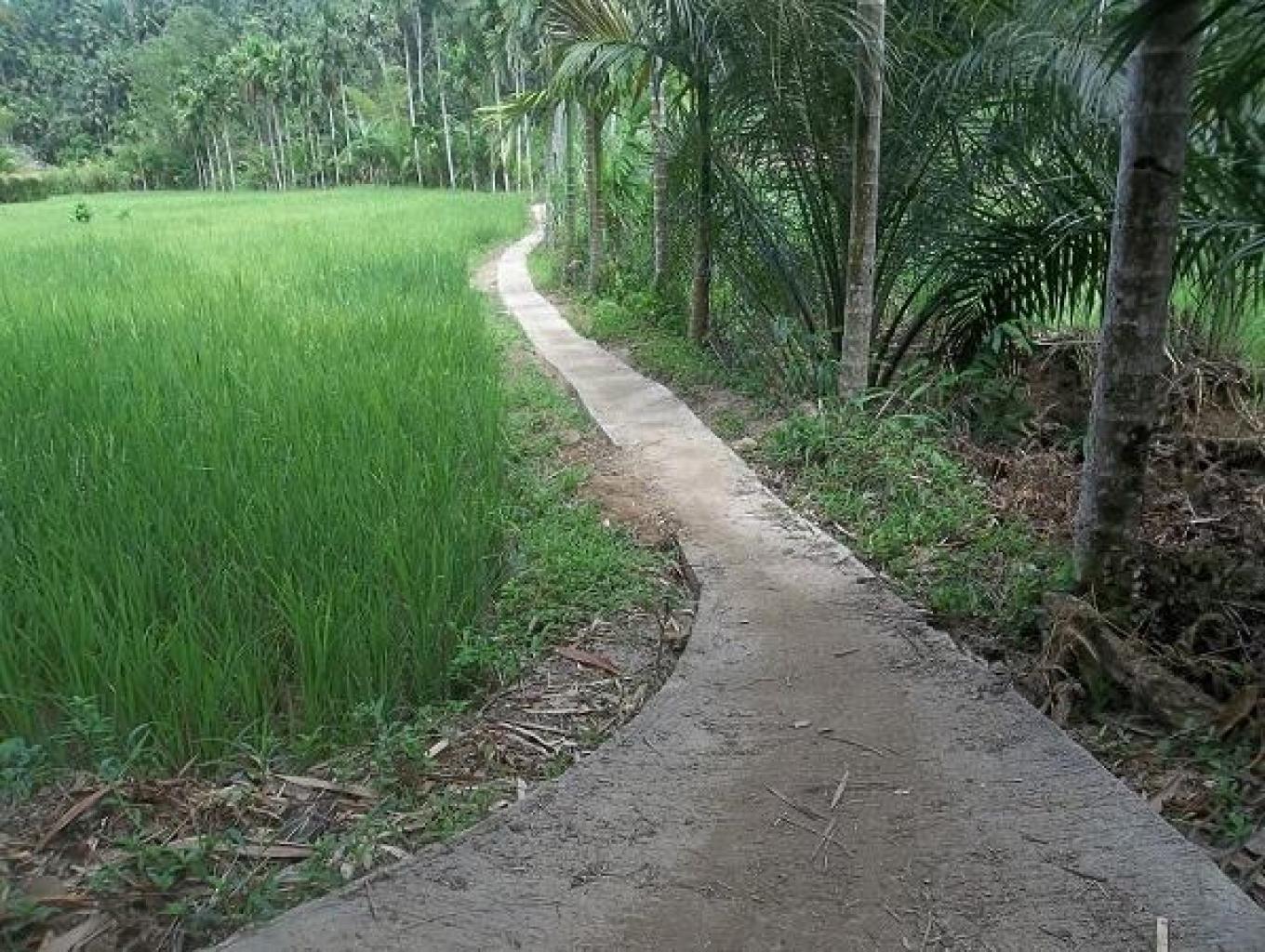 Sepeda Track