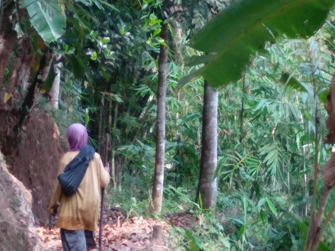 Bersepeda Alam Melayang