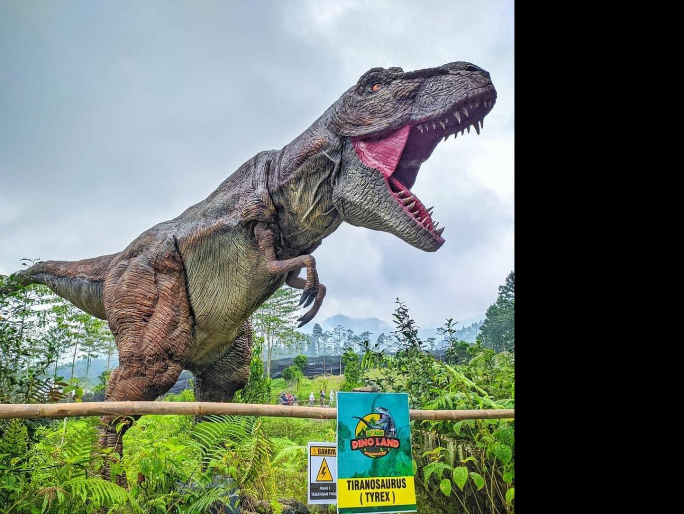 Dinoland