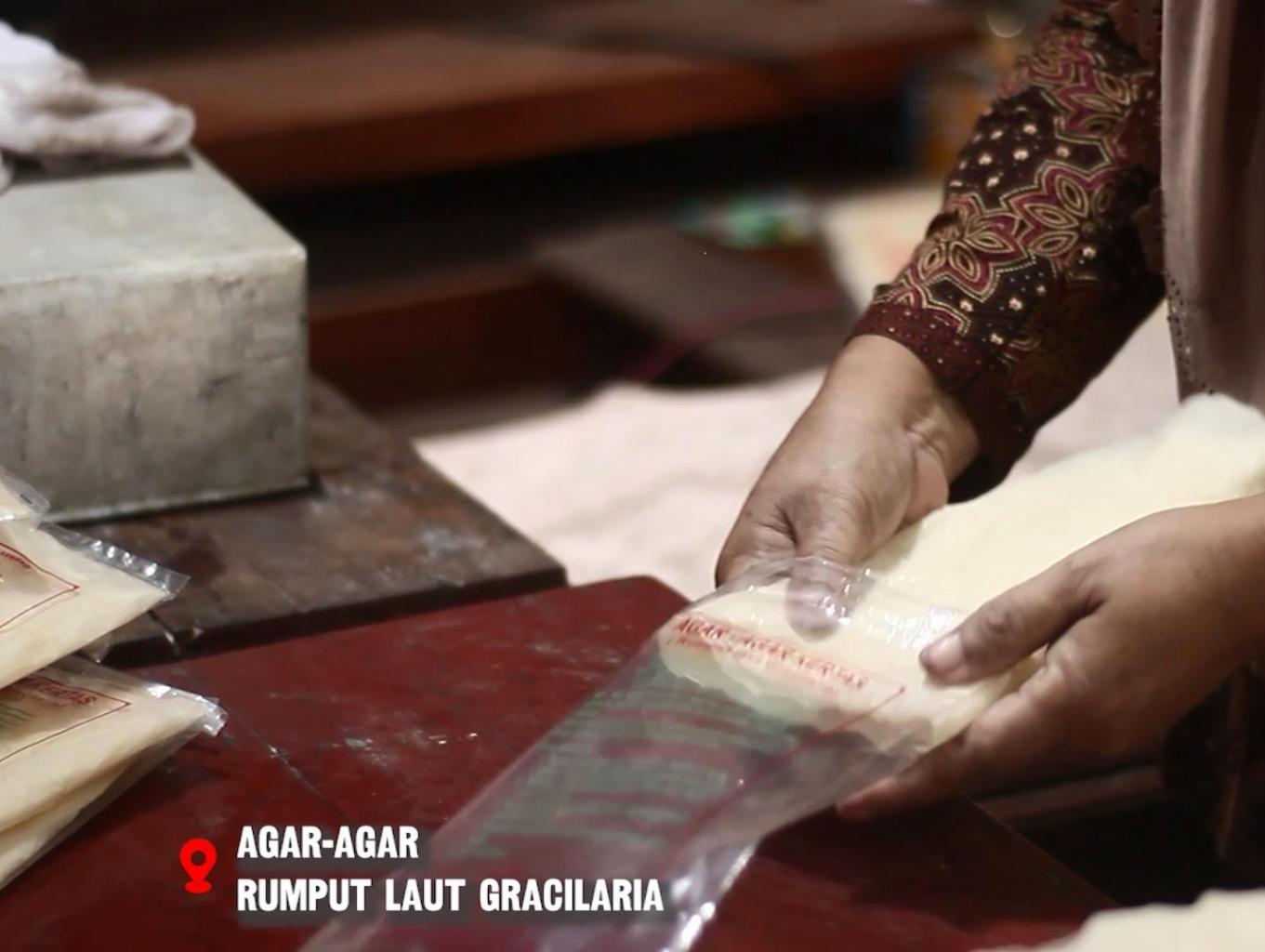 Agar-agar Rumput Laut