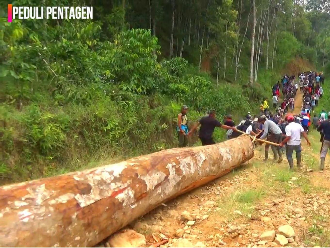 Ngihit Pamun/ Narik Balok