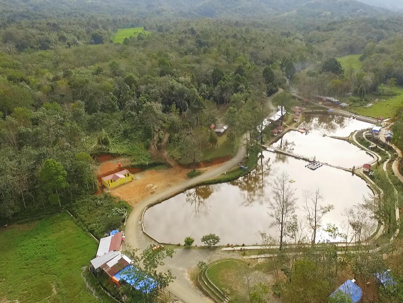 Taman Pertiwi