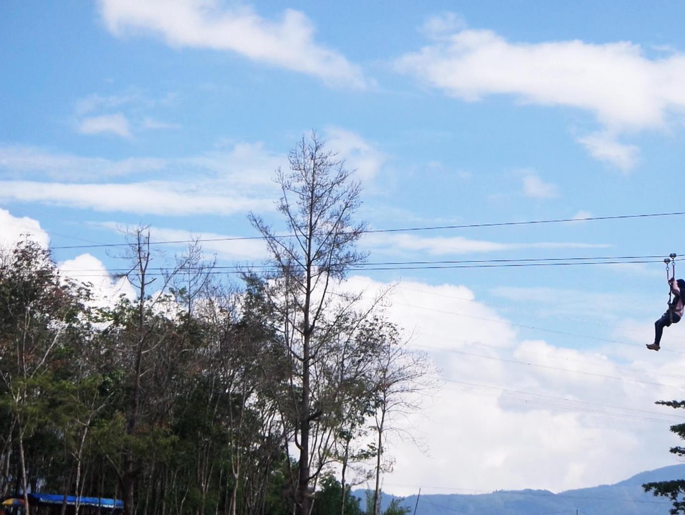 Flying Fox