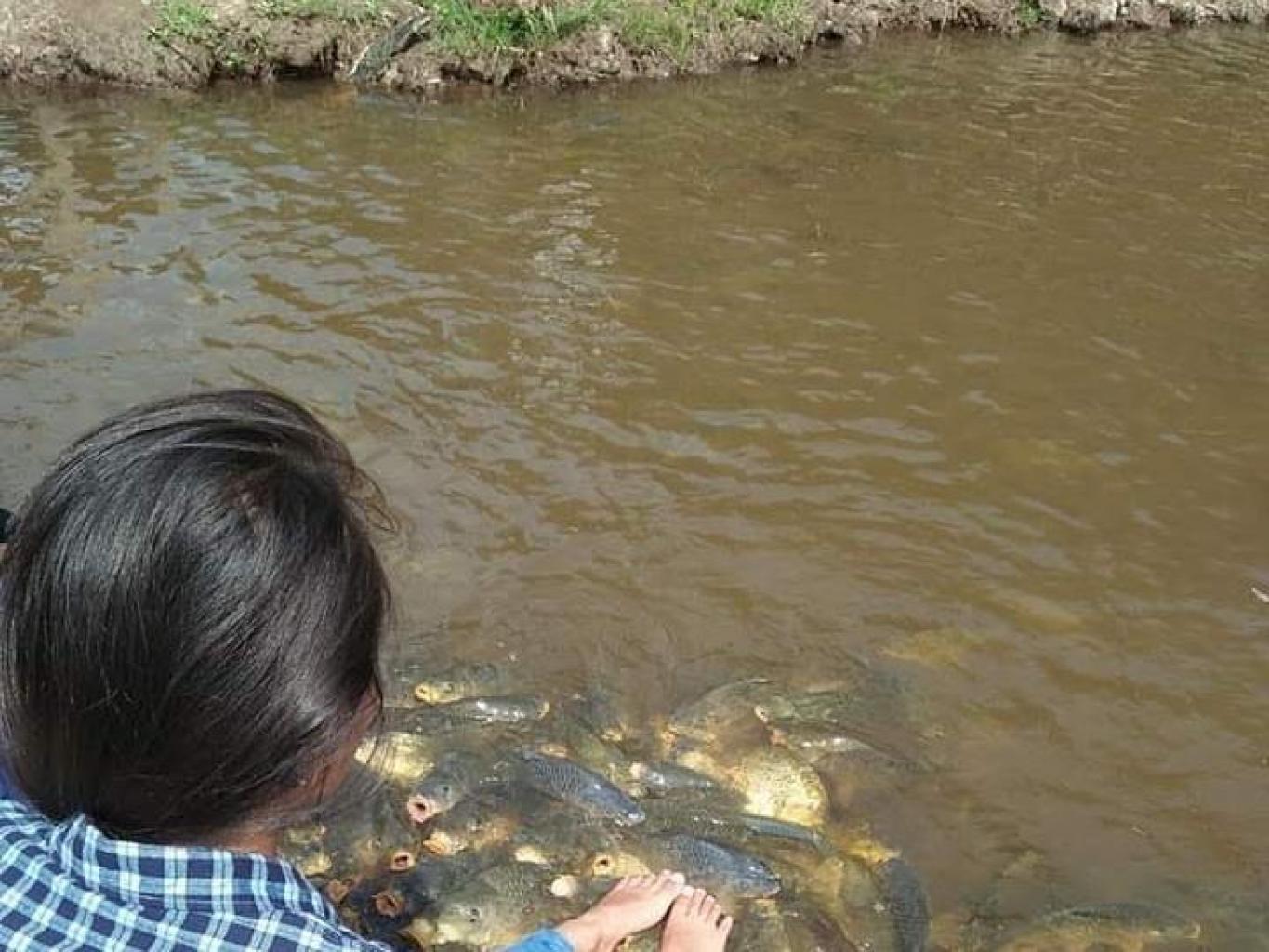 Berinteraksi Dengan Ikan