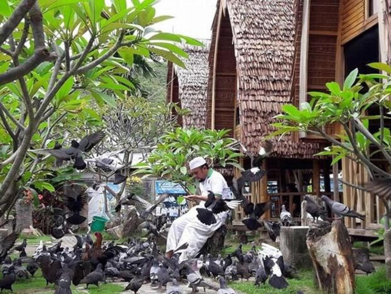 Ratusan Burung Merpati Ikut Menyambut Tamu