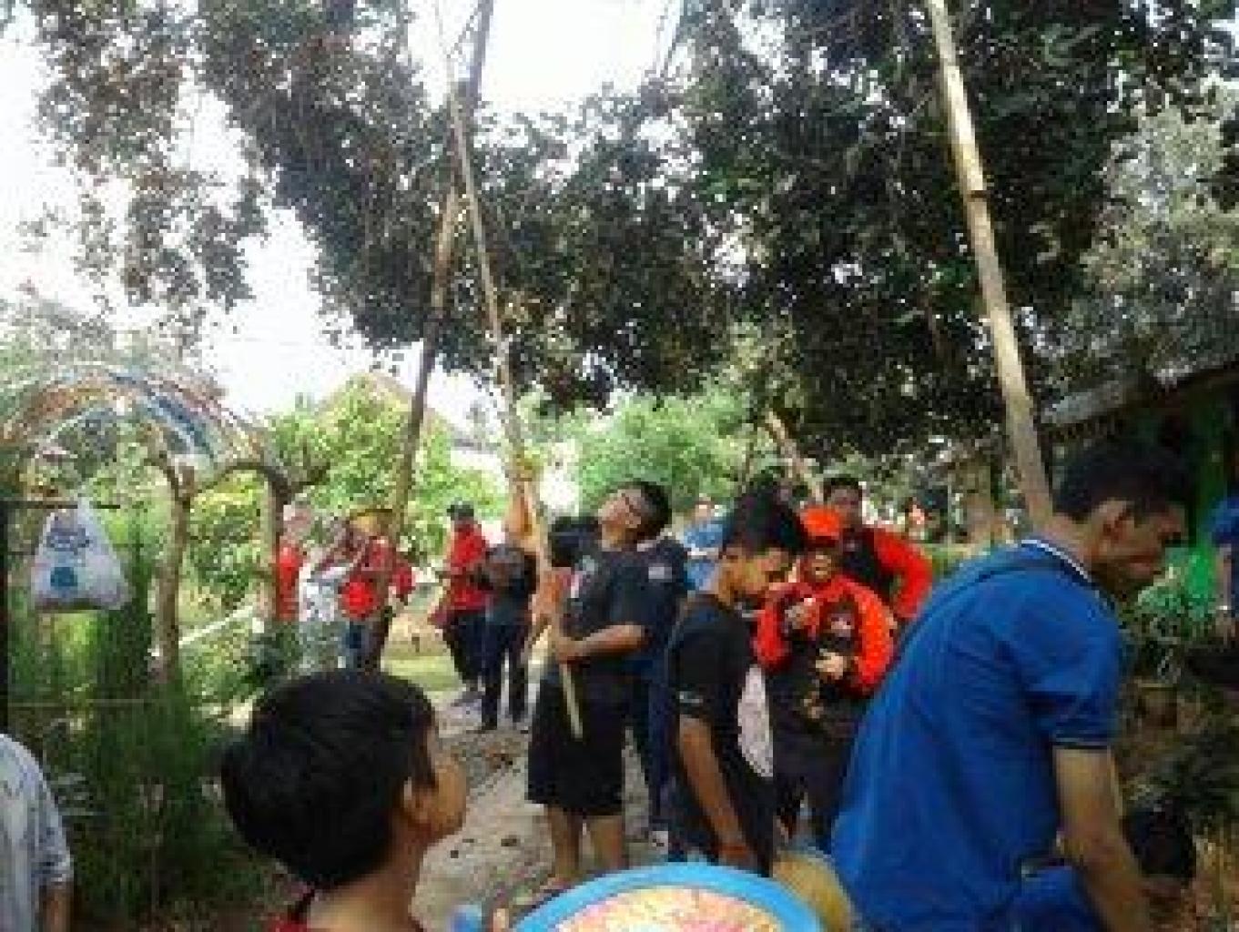 Petik Buah Makan Sepuasnya