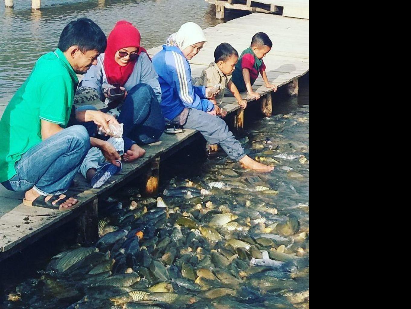 Berinteraksi Dengan Ikan