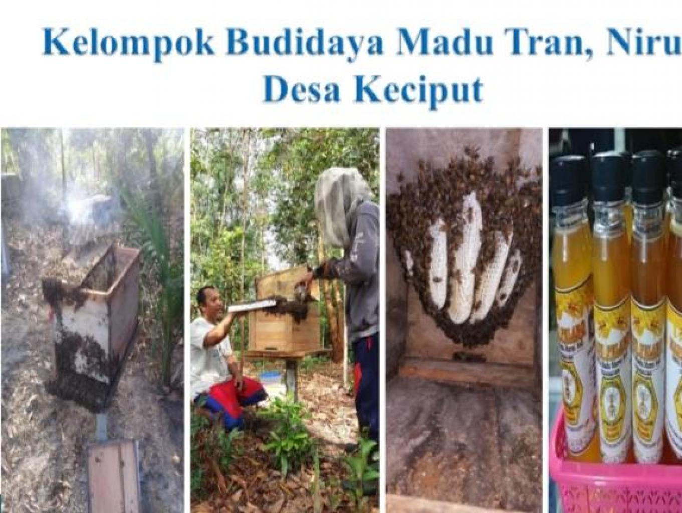 Ekowisata Perternakan Madu