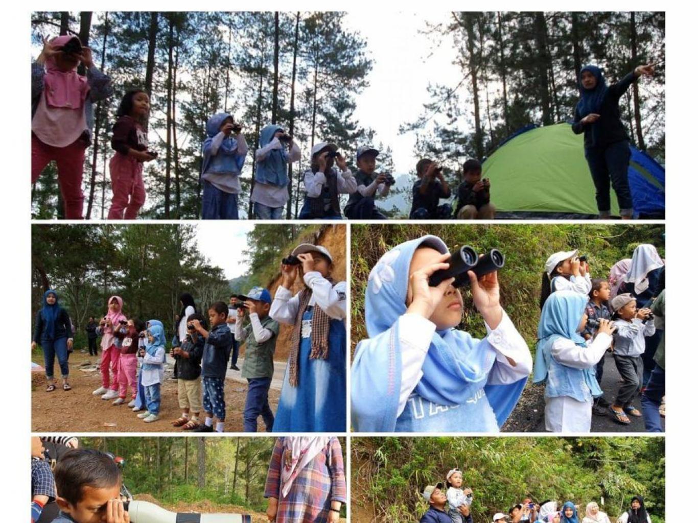 Birdwatching (local Endemic Sumatran Birds)