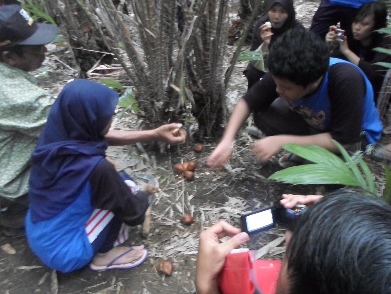 Kebun Salak