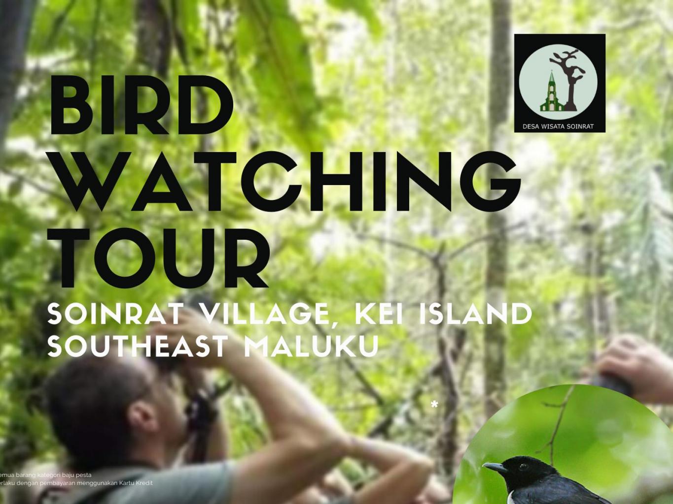 Soinrat Bird Watching Tour