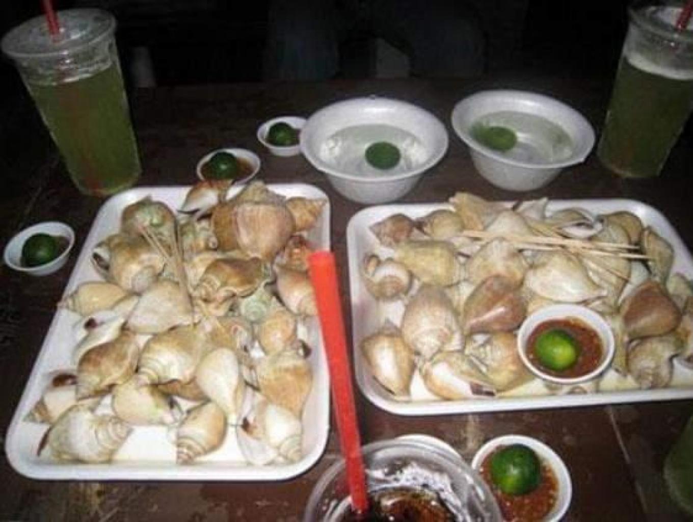 Siput Gunggung