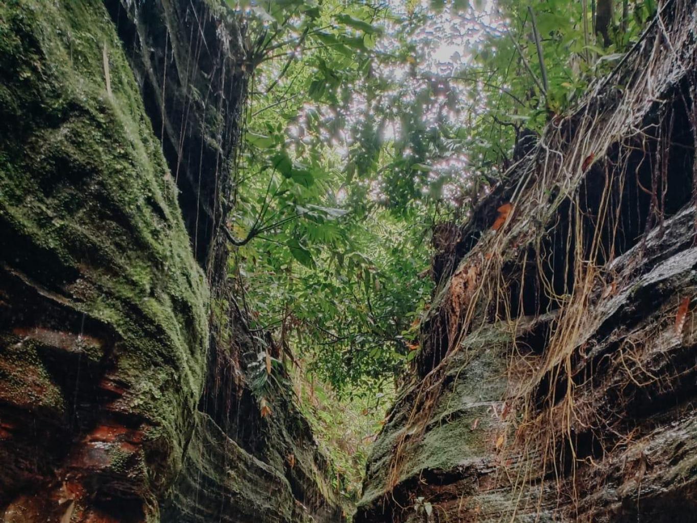 Trekking