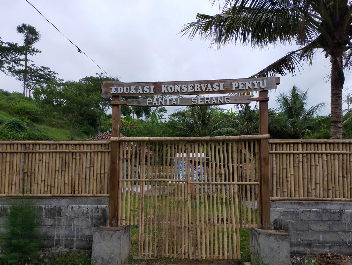 Edukasi Konservasi Penyu