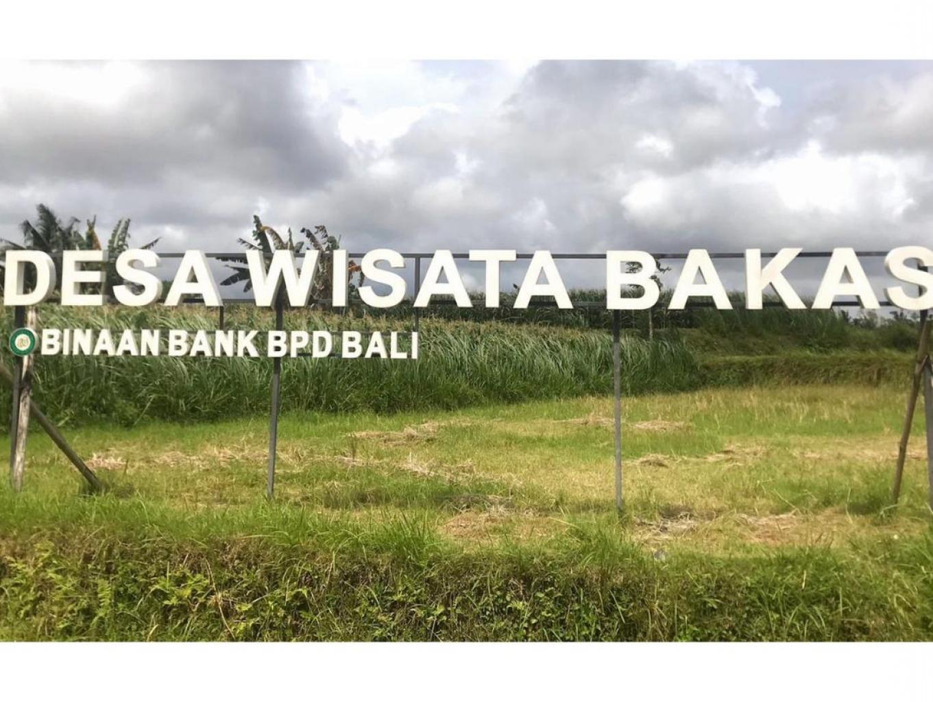 Bakas