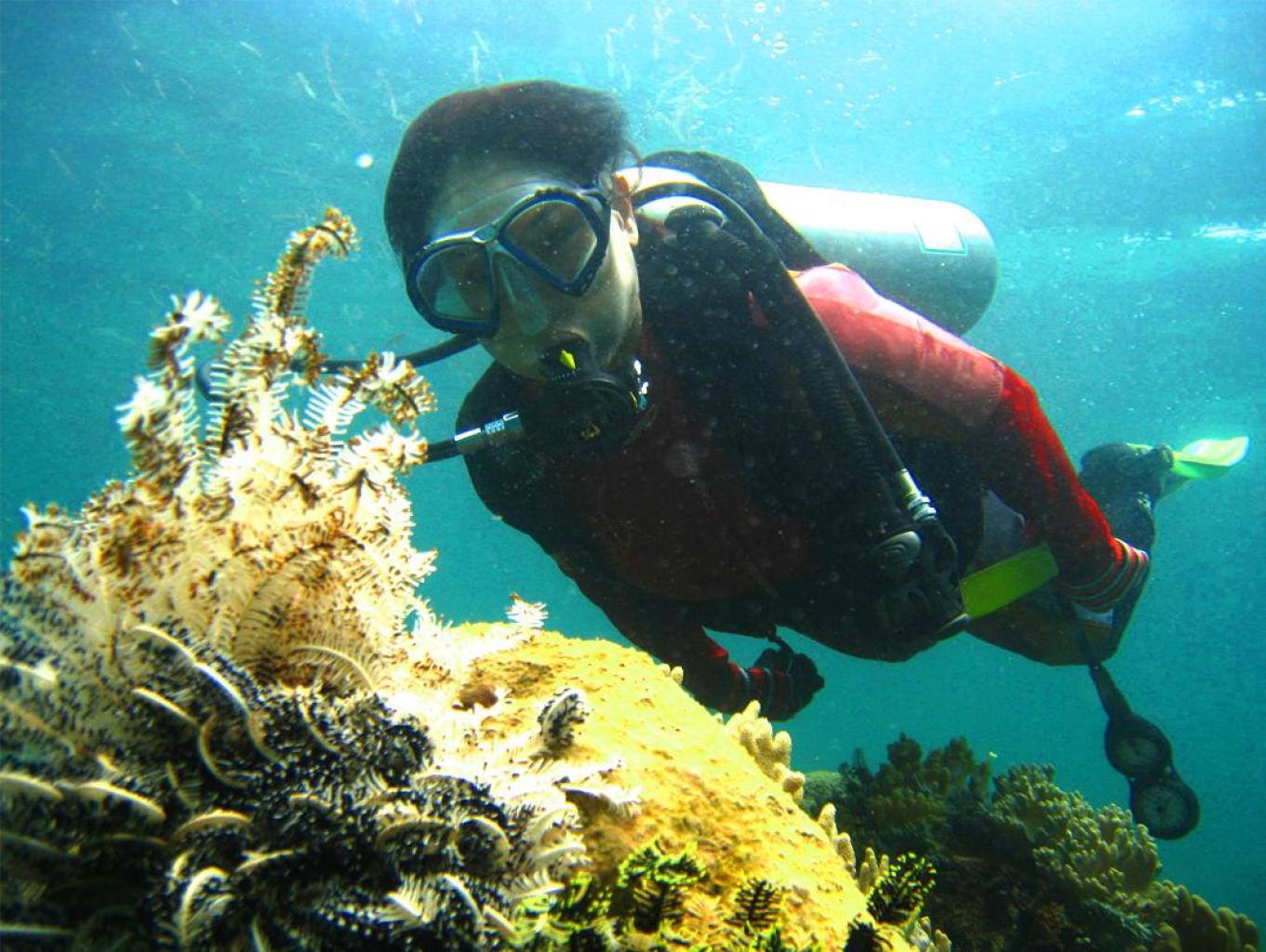 Laut Pasilan Snorkeling