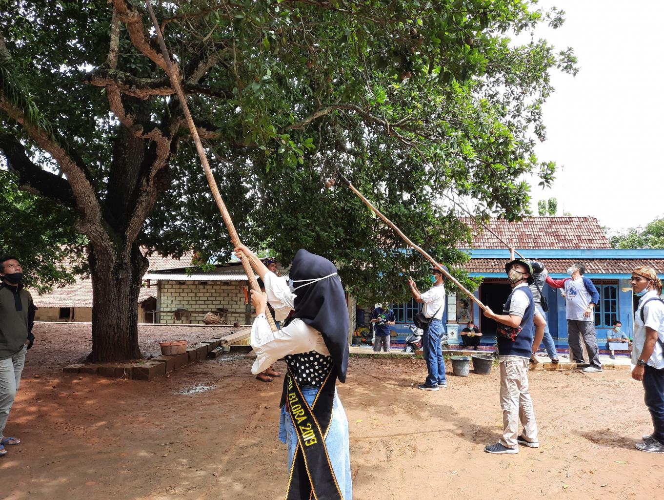 Eduwisata Buah Sawo Organik