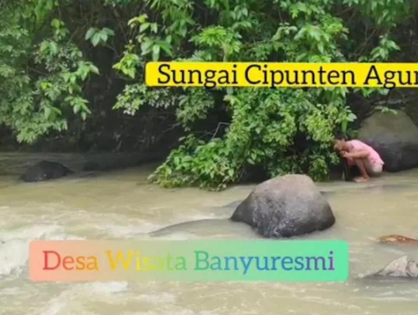 Ngala Siih (siput) Di Sungai Cipunten Agung
