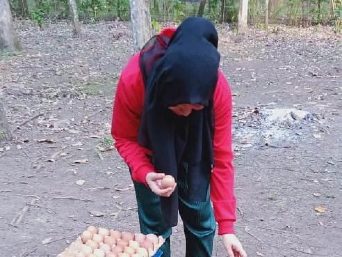 Ternak Ayam Petelur 99