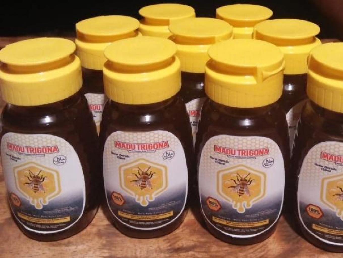 Madu Trigona