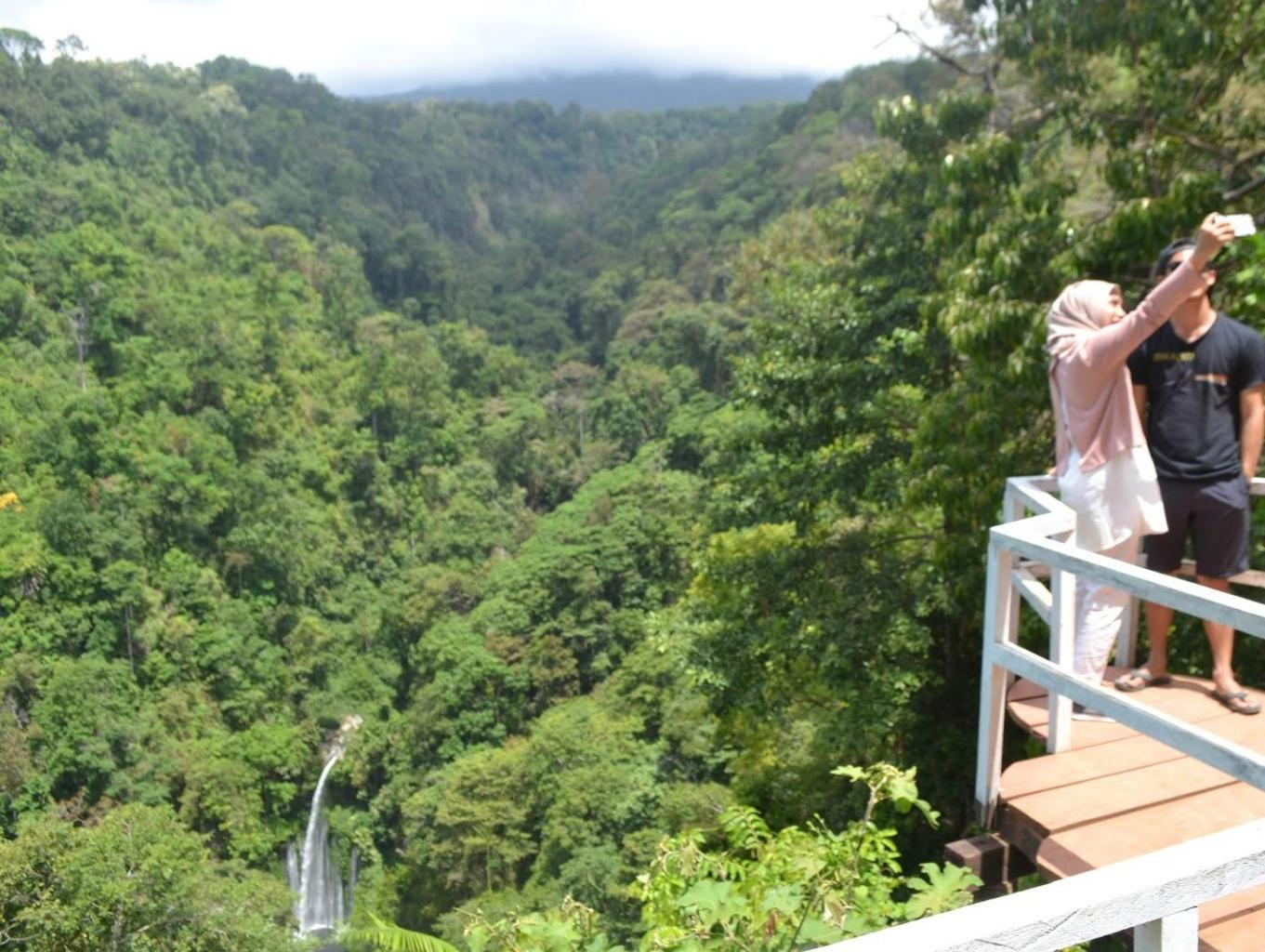 Wisata Kebun Kopi
