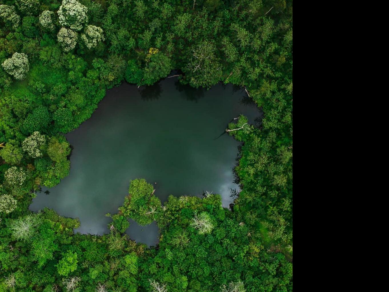 Tracking  & Camping Di Danau Telaga Putri