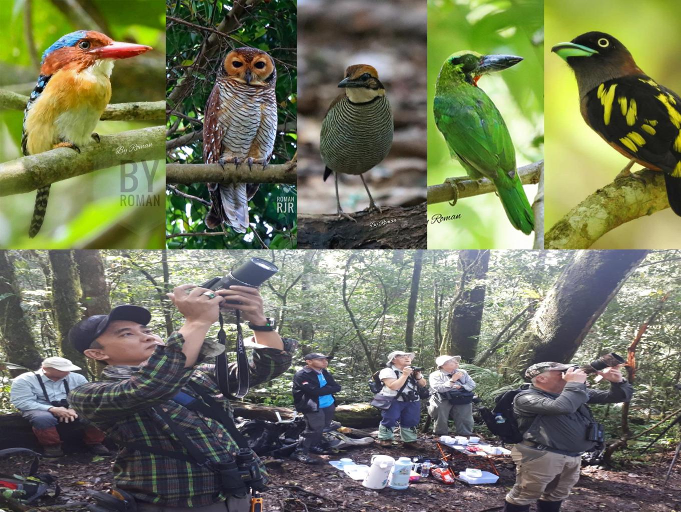 Bird Watching Tour