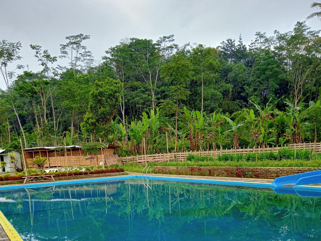 Kolam Renang