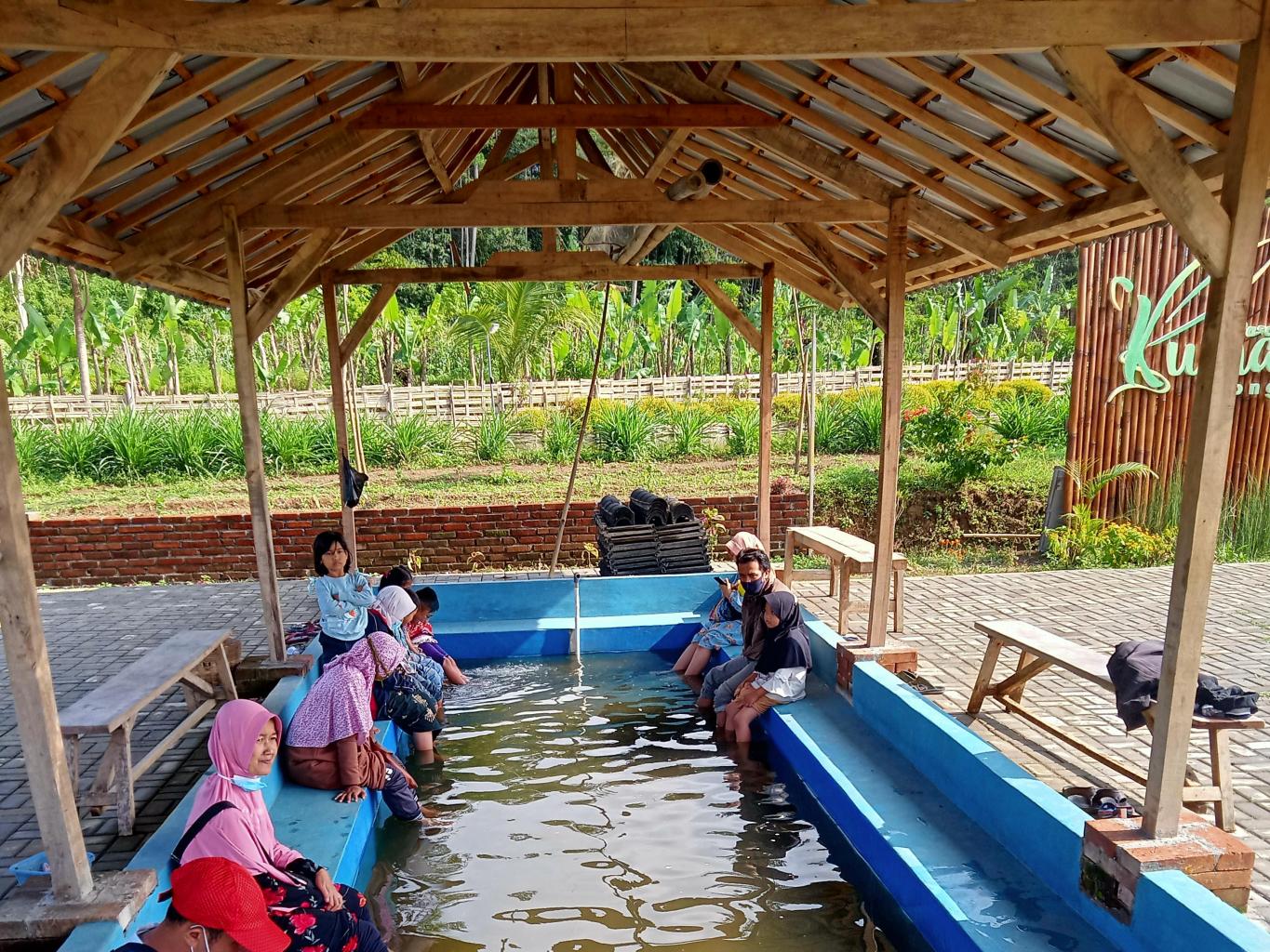 Kolam Terapi Ikan