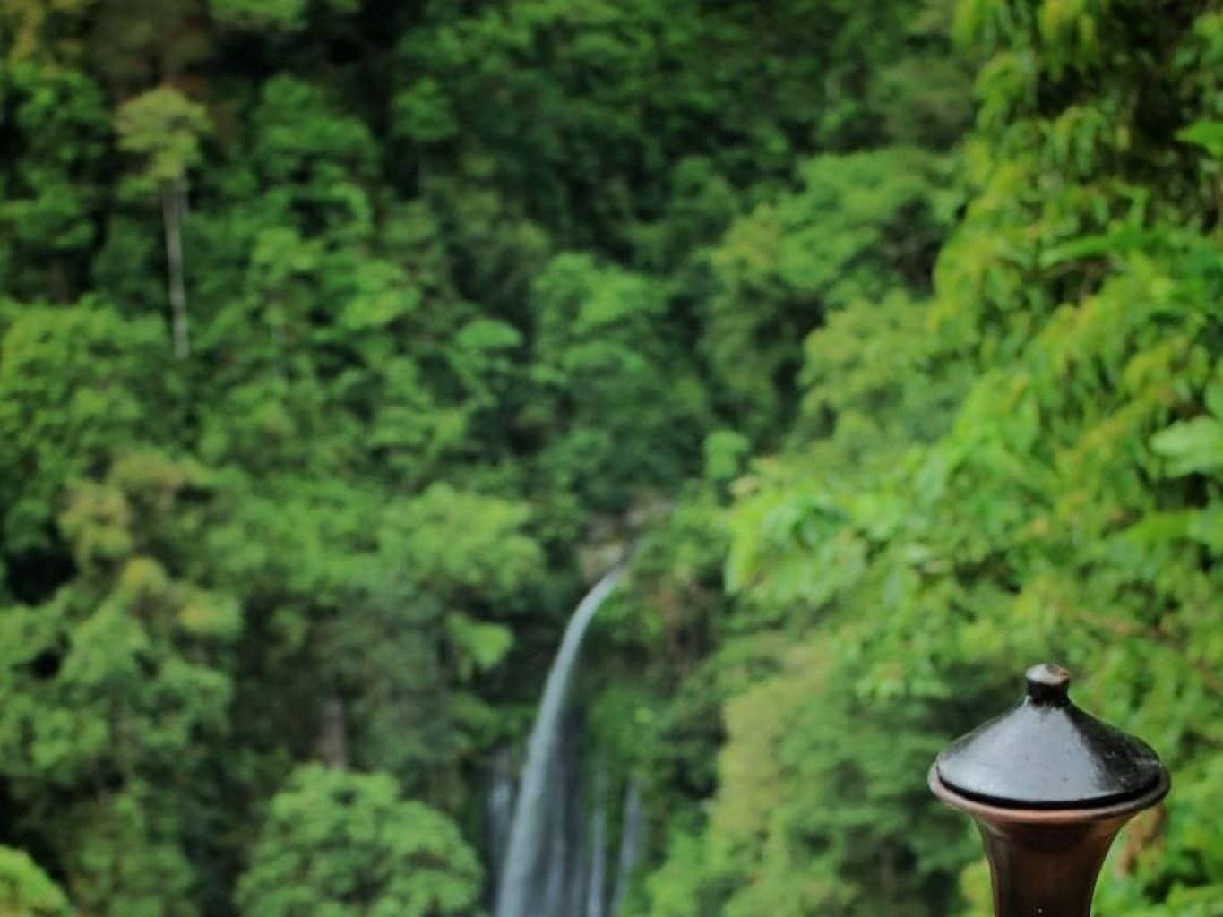 Spot Selfie Kebun Kopi