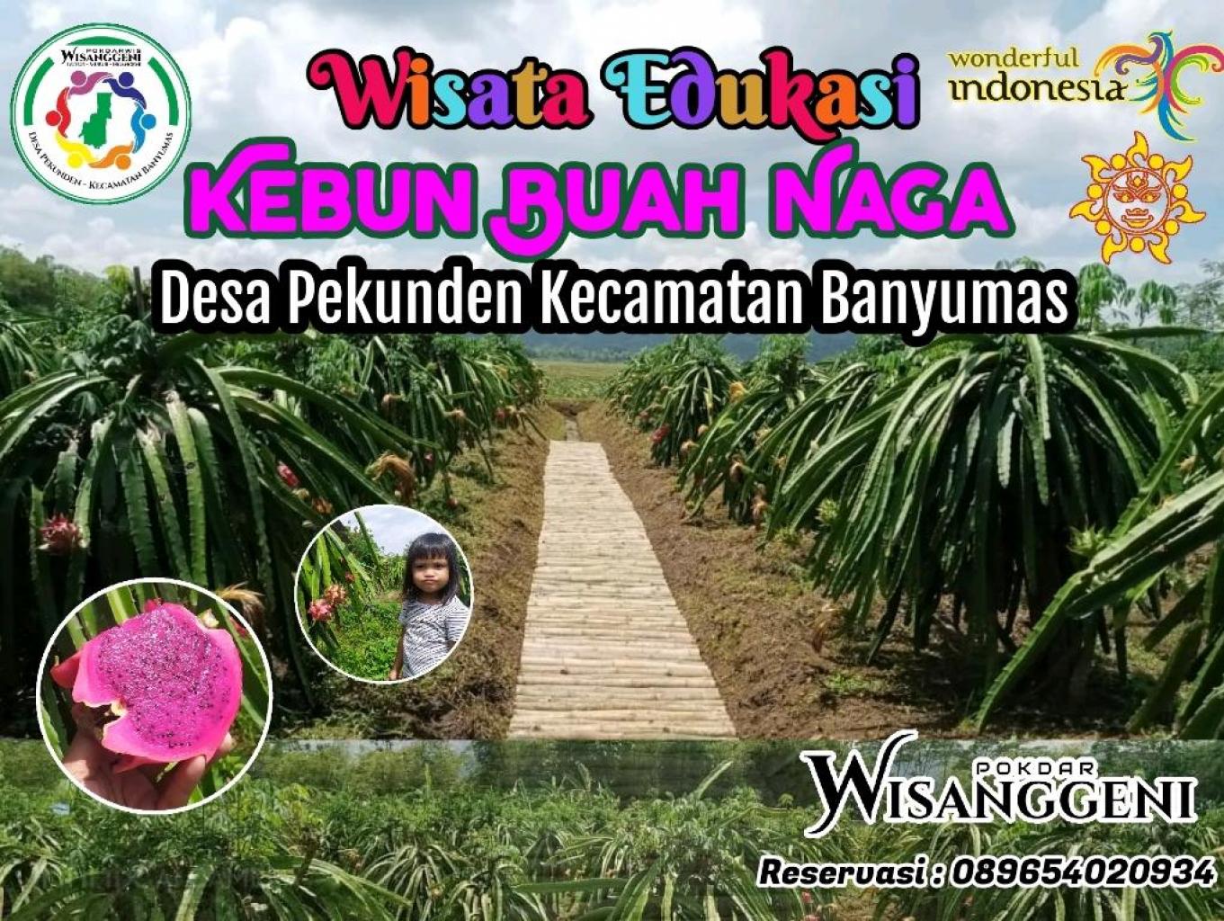 Wisata Edukasi Kebun Buah Naga