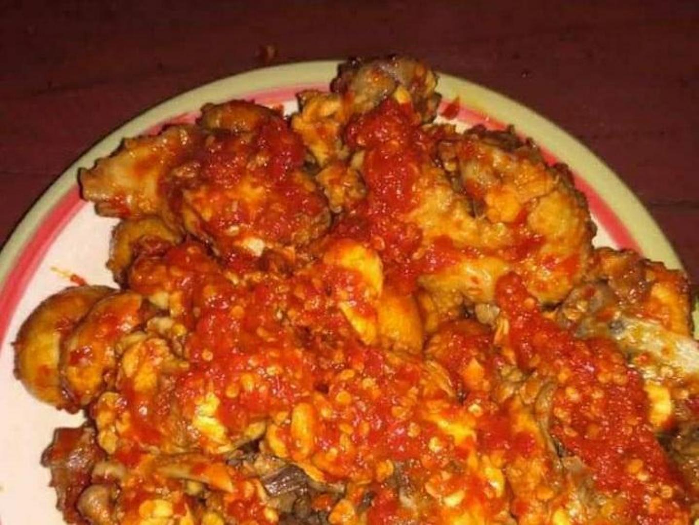 Cigor Nina