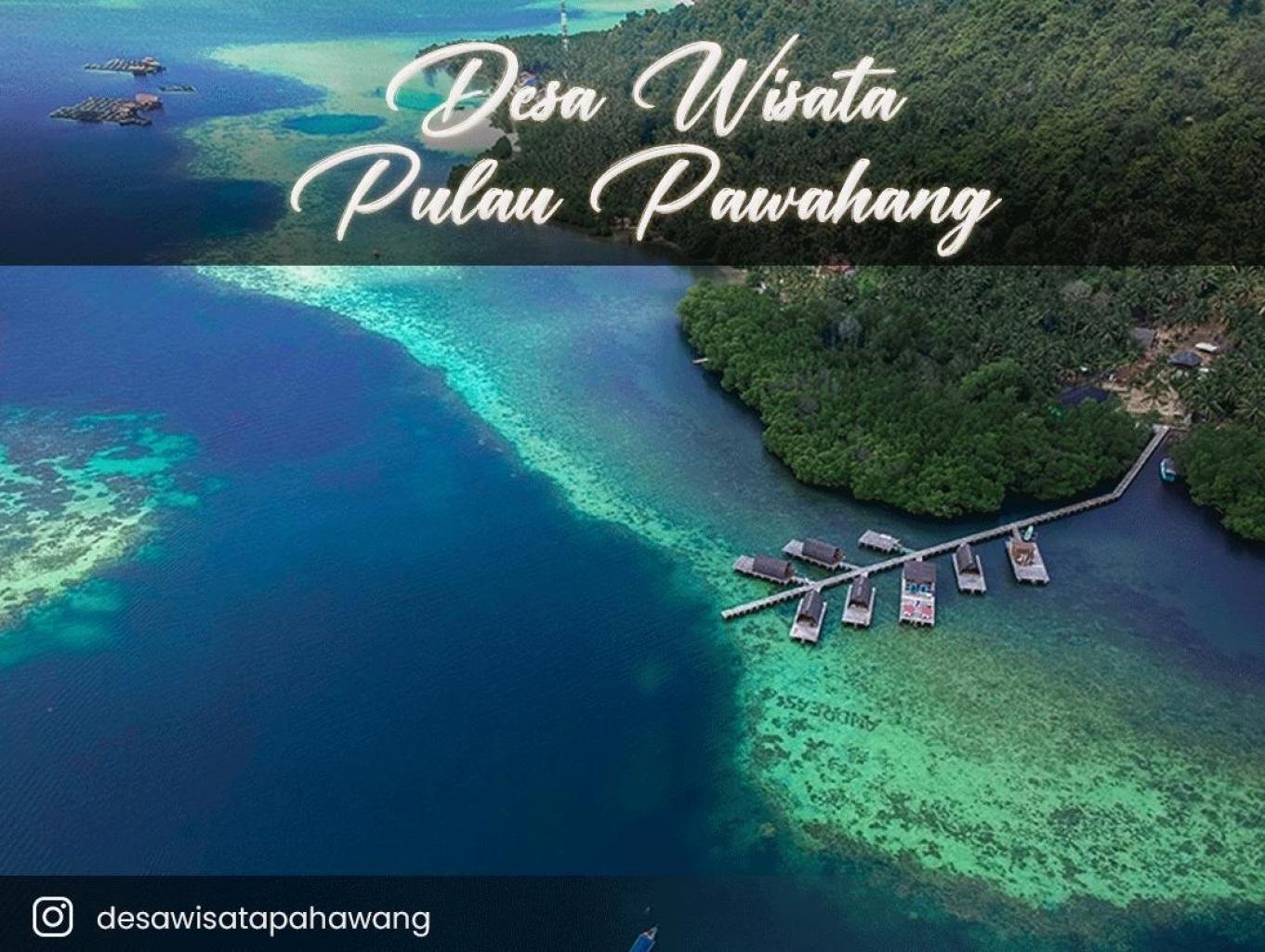 Pulau Pahawang