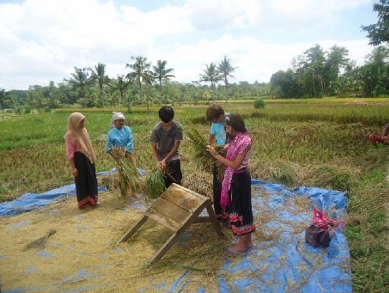 Soft Tracking (melihat Dan Mengikuti Aktifitas Petani Di Sawah).