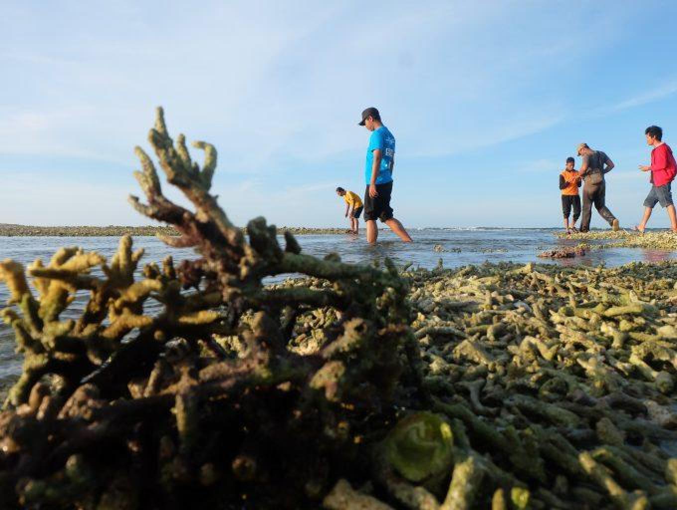 Berlayar Ke Pulau Gosong