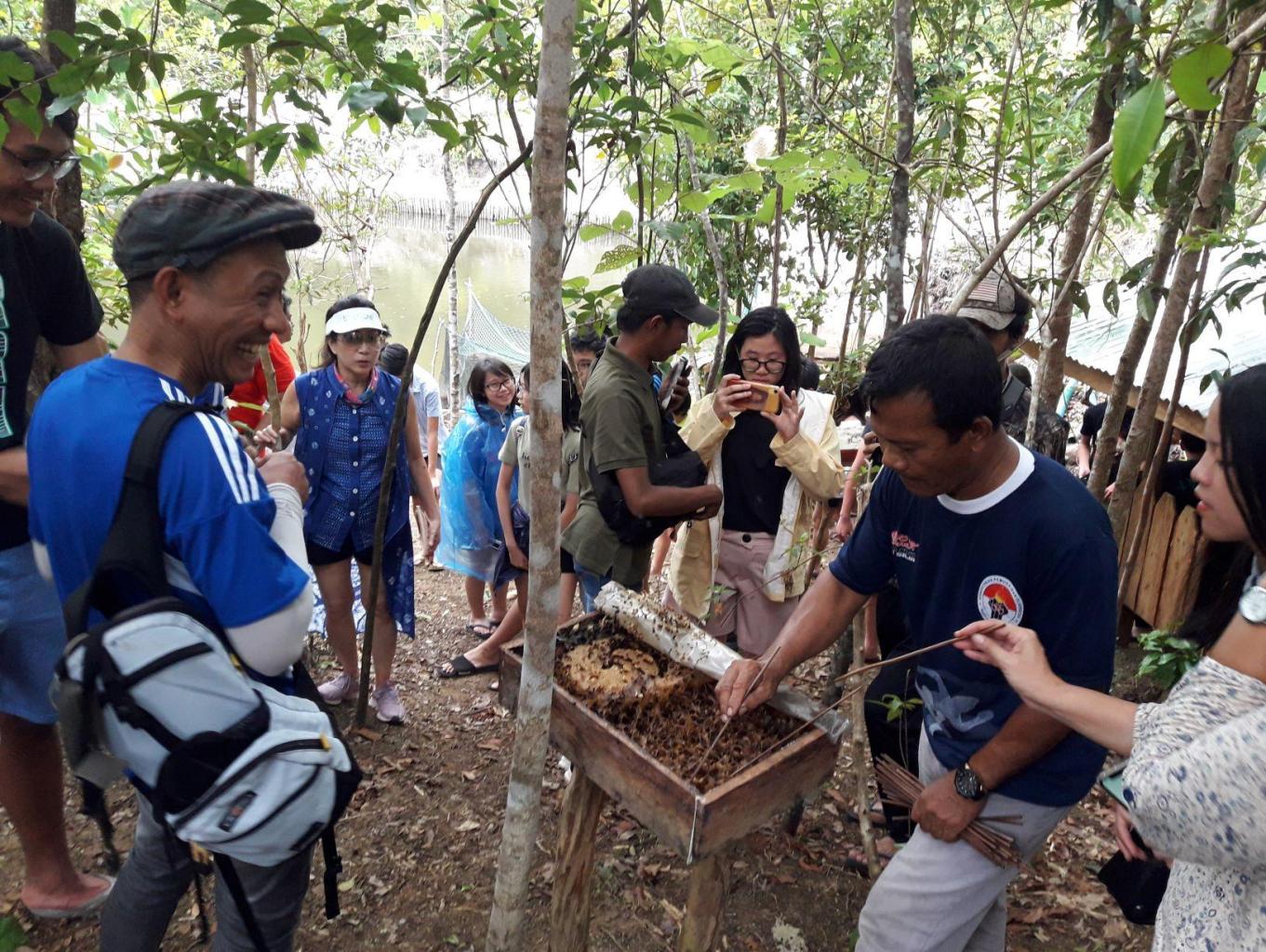 Aktifitas Wisata Edukasi Menghisap Madu Trigona Dari Sarangnya