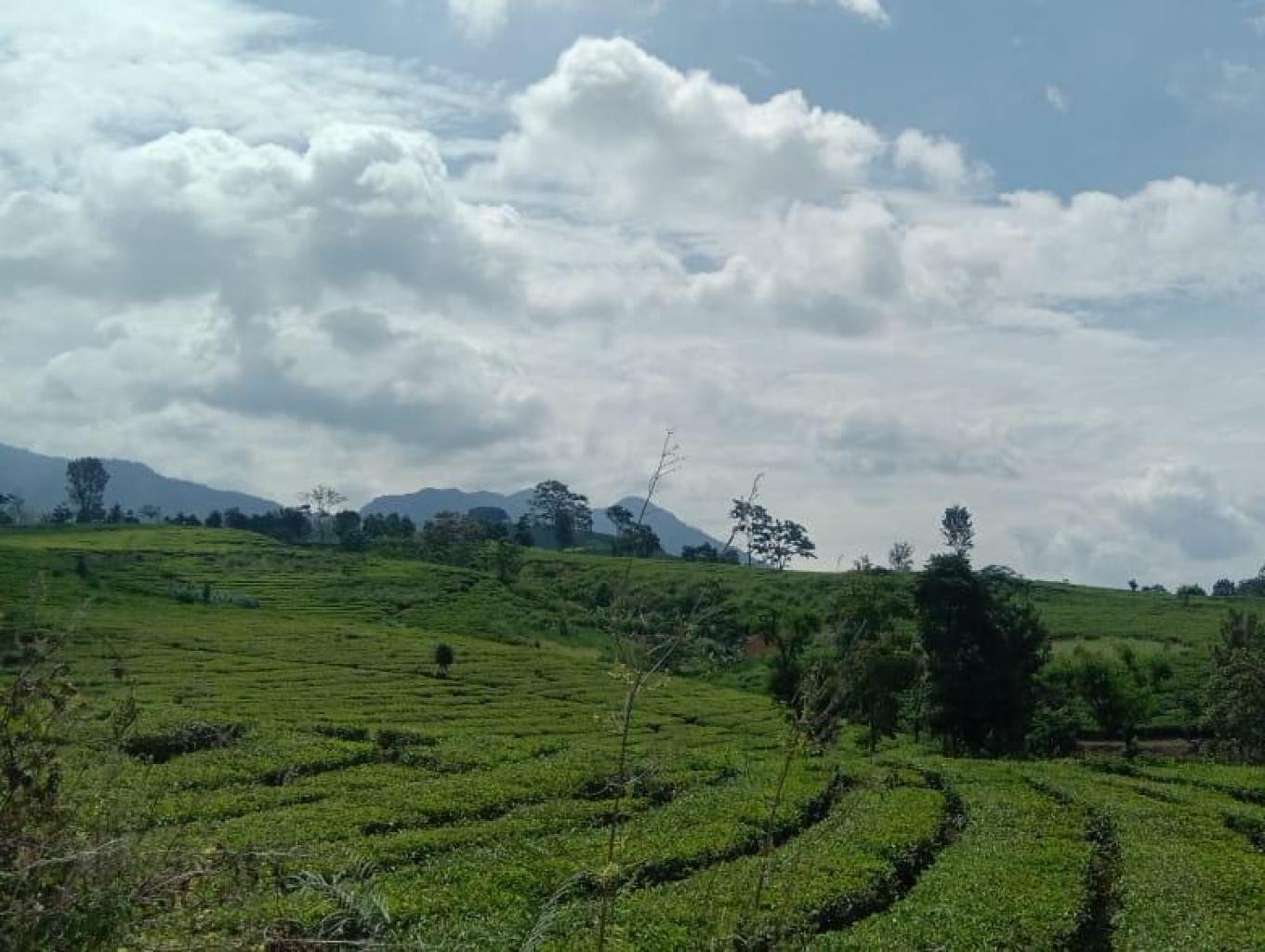 Jelajah Alam