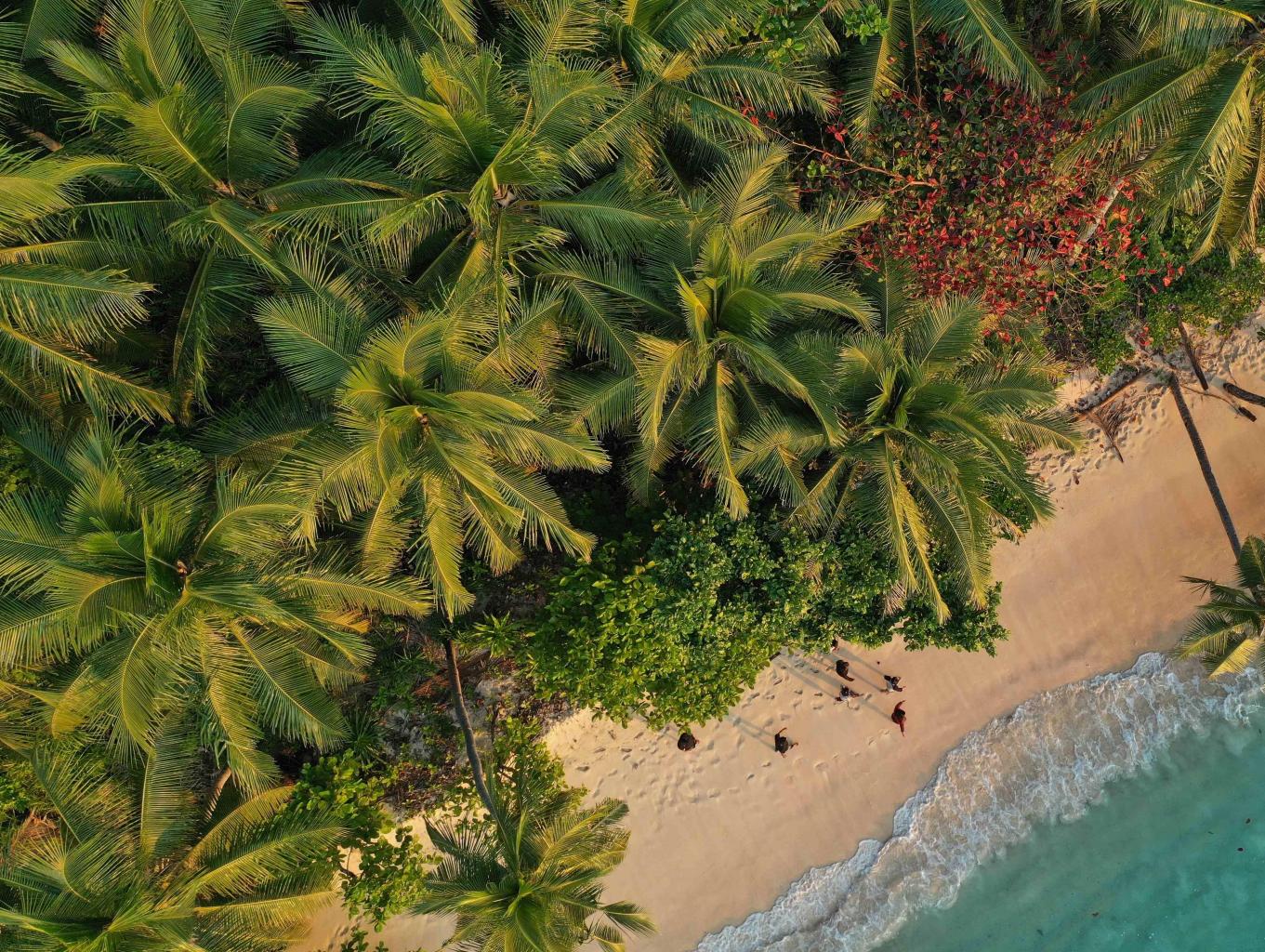 Pulau Nitu