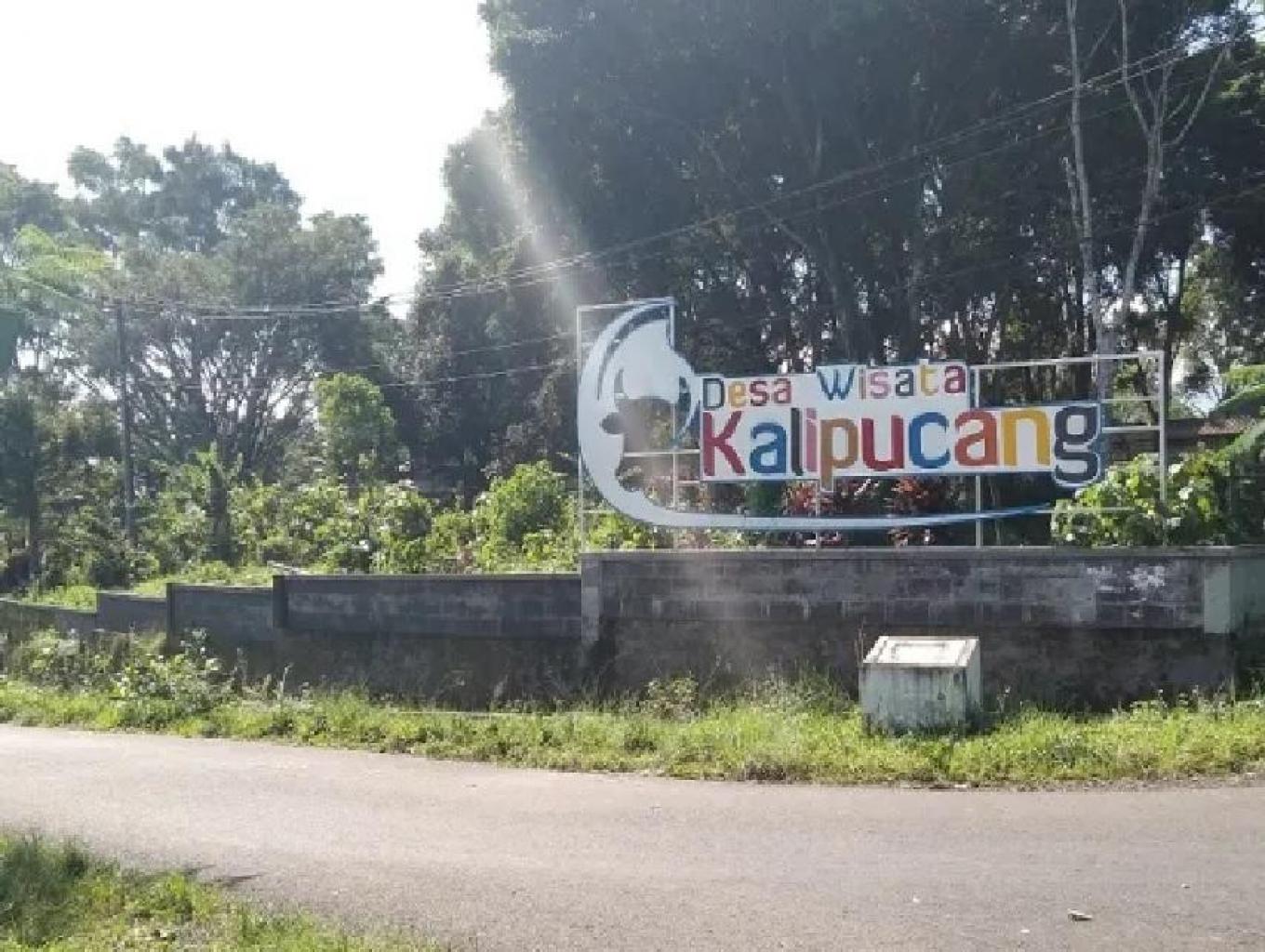 Kalipucang