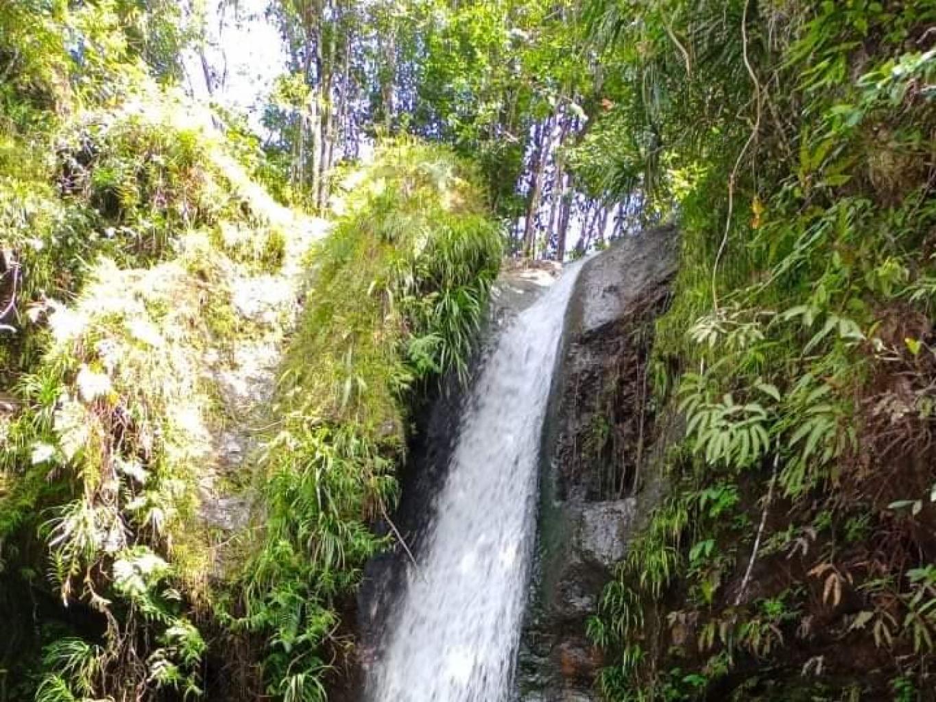 Jalur Trekking Seribu Air Terjun