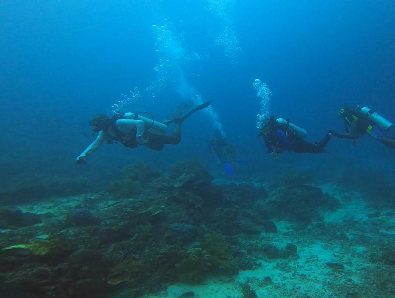 Diving