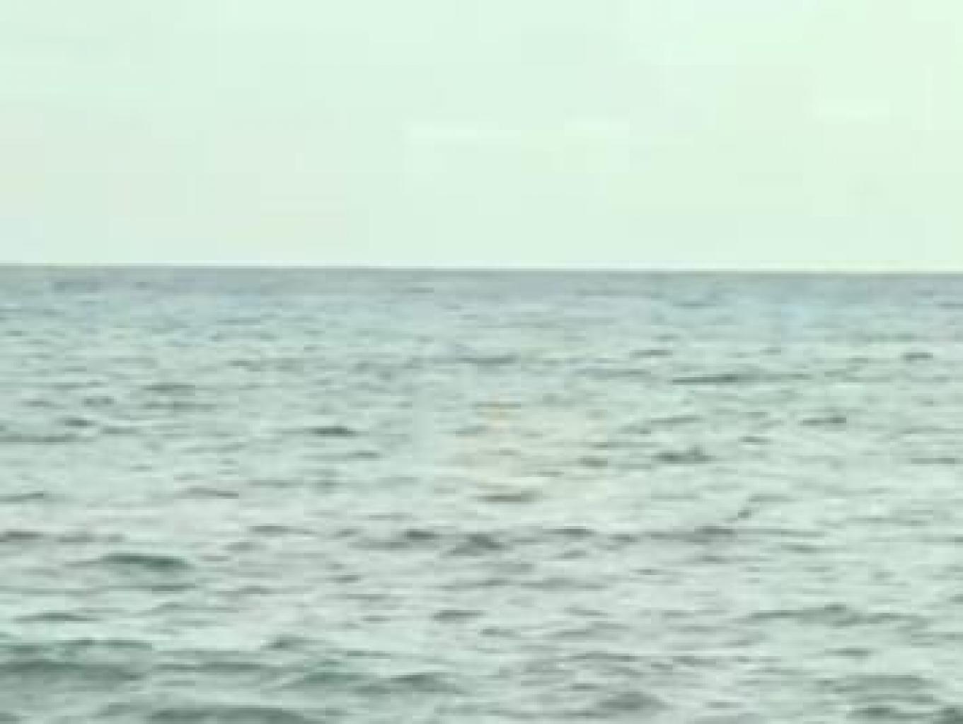 Mengunjungi Cagar  Belo (tiang Mengikat Perahu Kapitan Jongker)