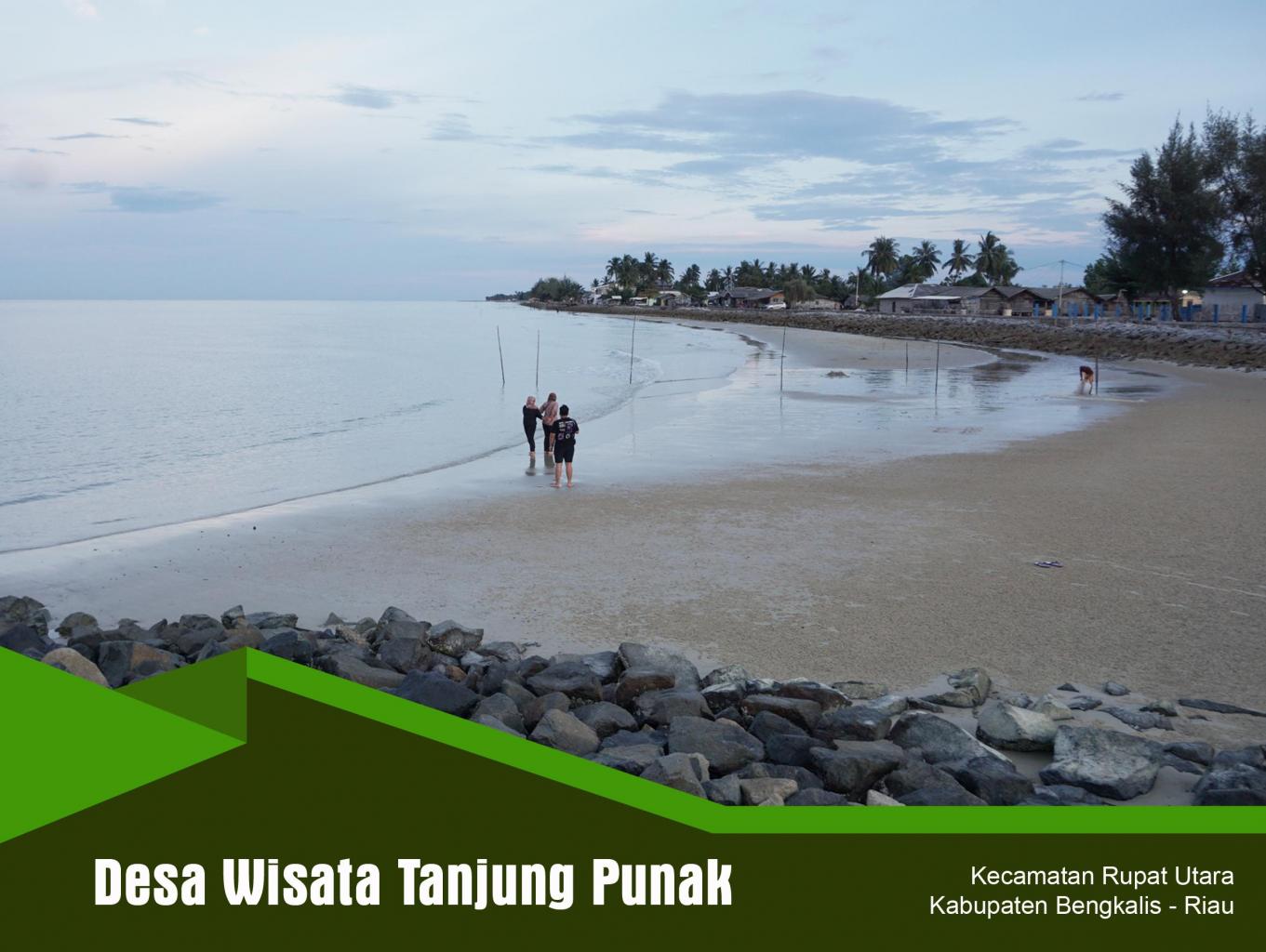 Tanjungpunak