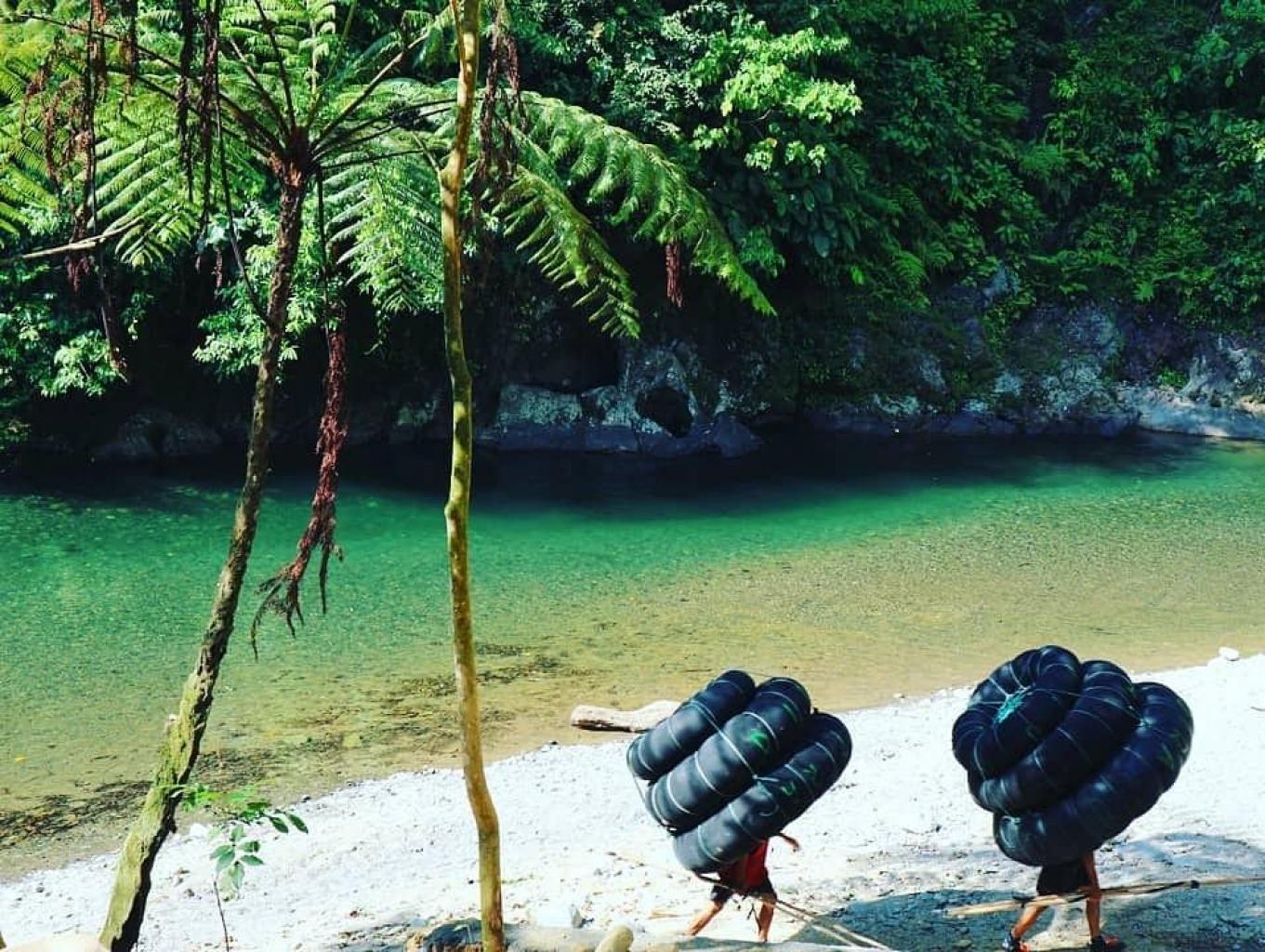 Perkebunan Bukit Lawang