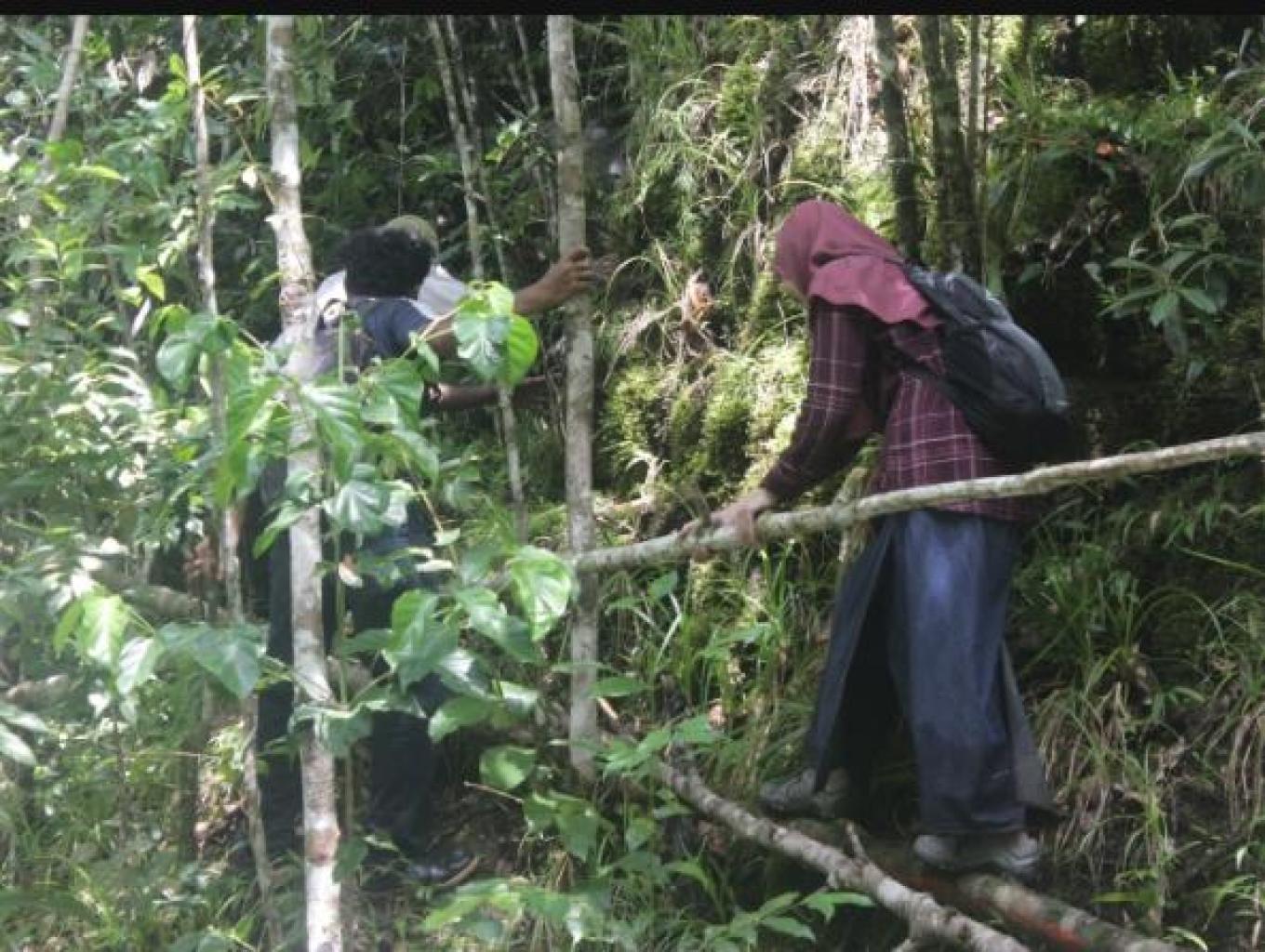 Oneday Trip/tracking