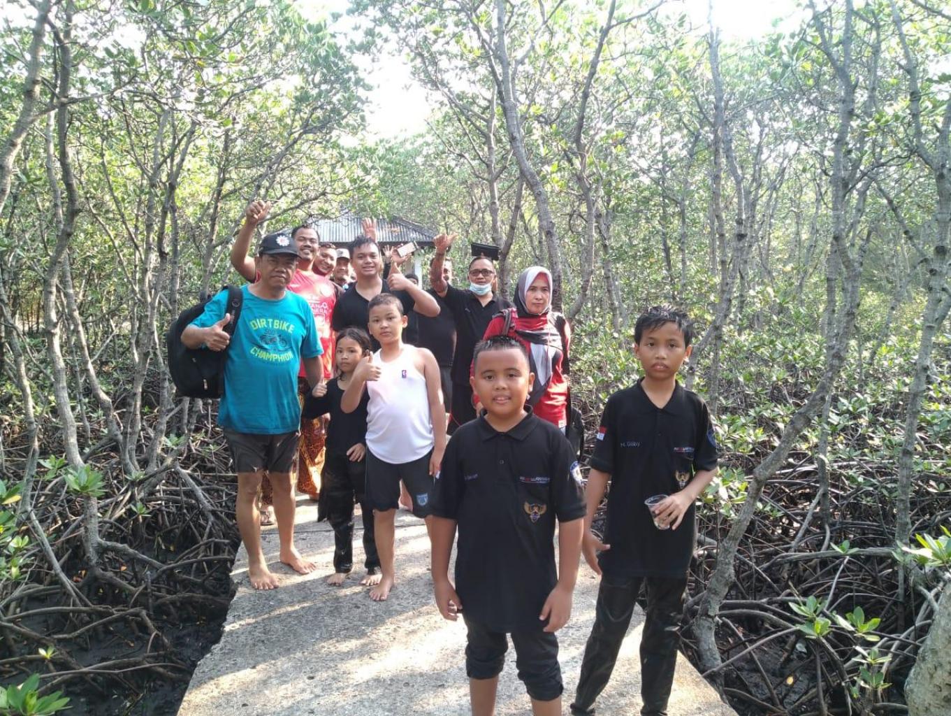 Jelajah Hutan Mangrouve