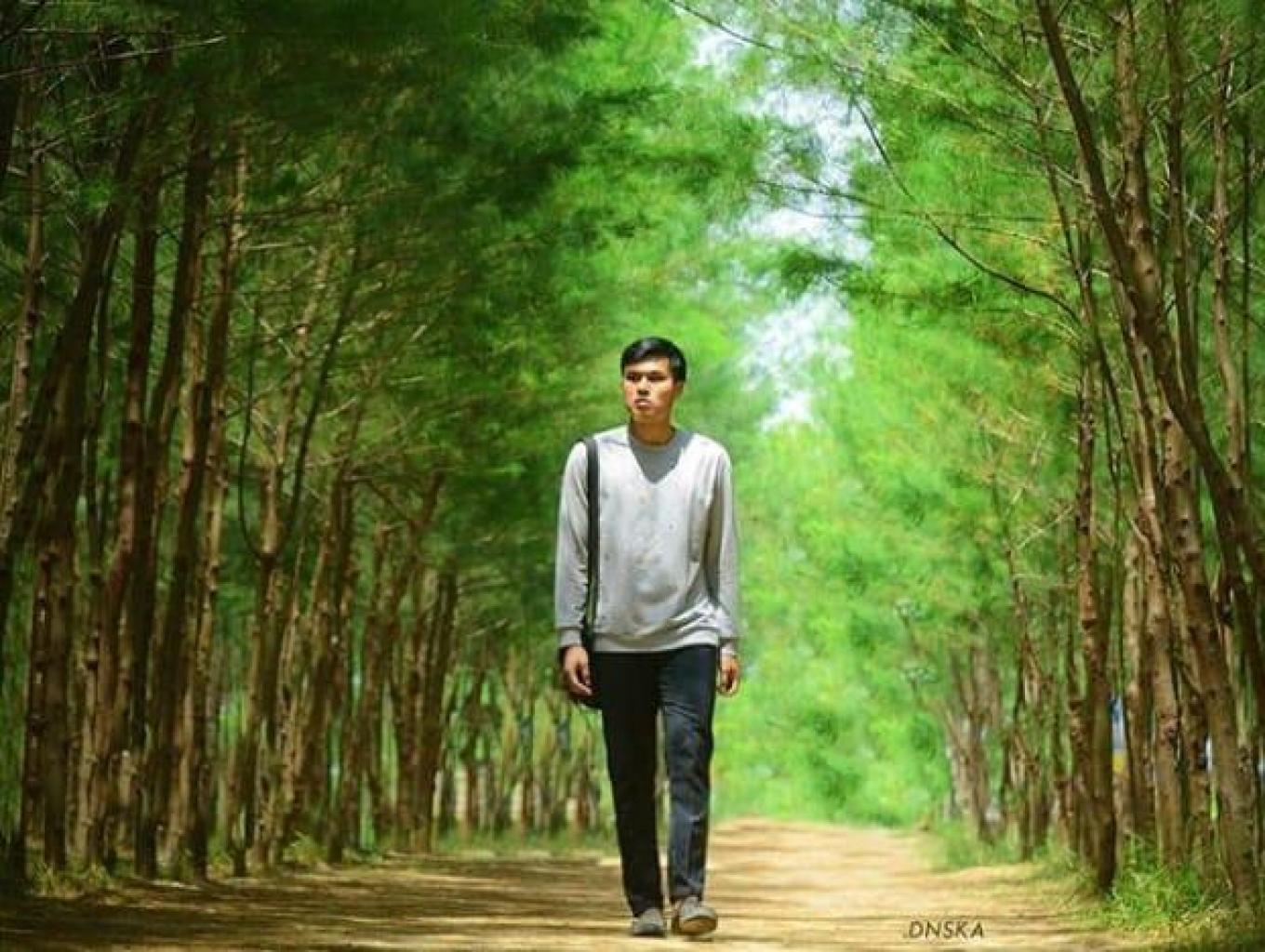 Hutan Cemara
