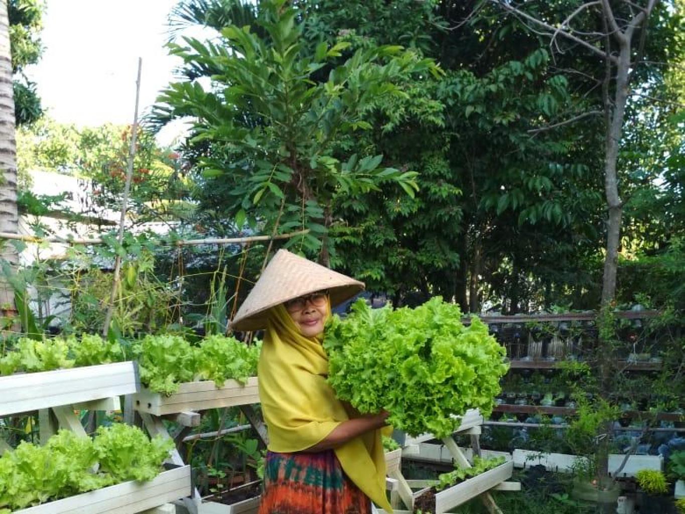 Kebun Kota Jalan Matahari Gampong Lampulo